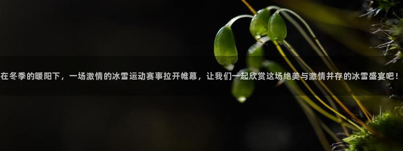 意昂5主管