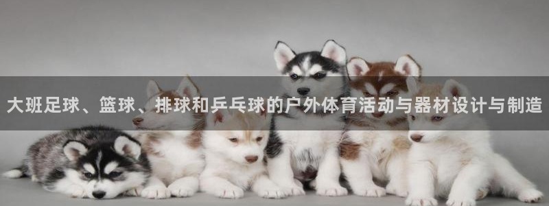 意昂5体育平台登录入口