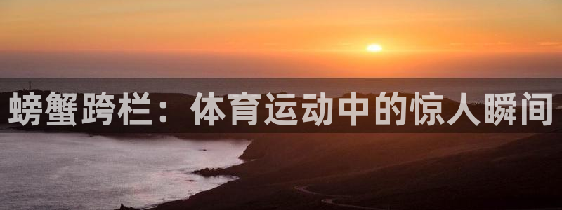 意昂5体育平台总代理