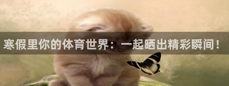 意昂5代理注册官网入口
