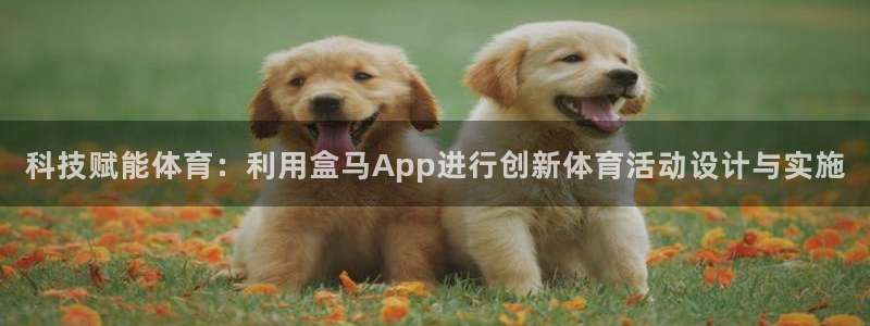 意昂5环保