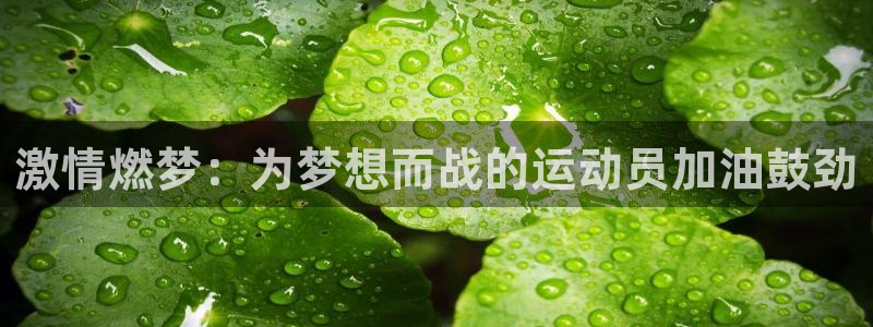 意昂5招商