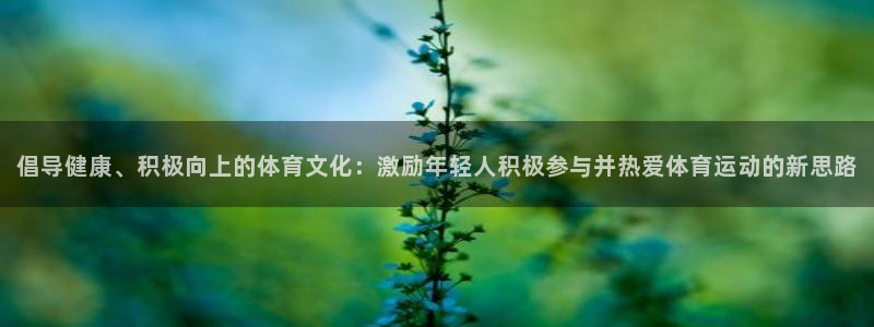意昂5体育官网