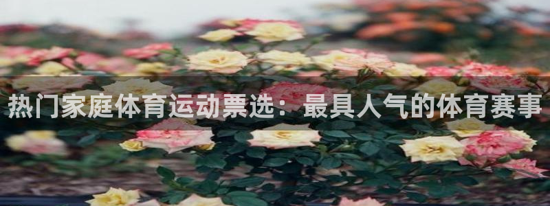 意昂5平台主管