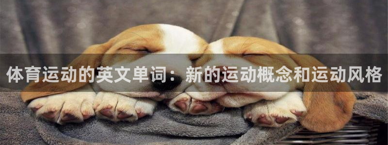 意昂54