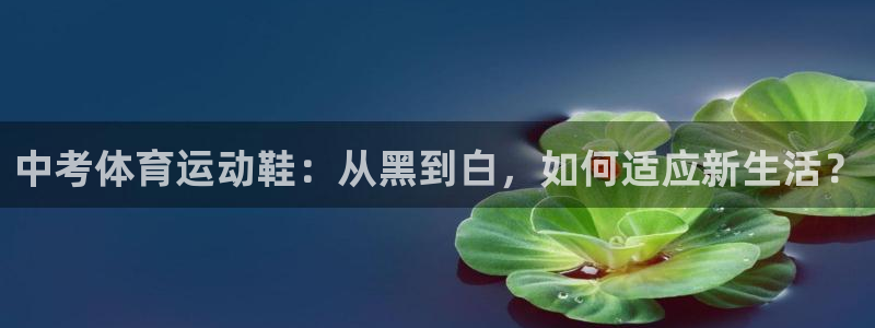 意昂5体育3在线注册