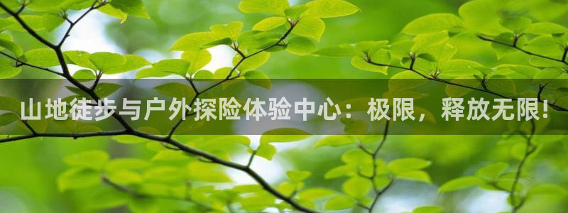 意昂5体育免费注册入口