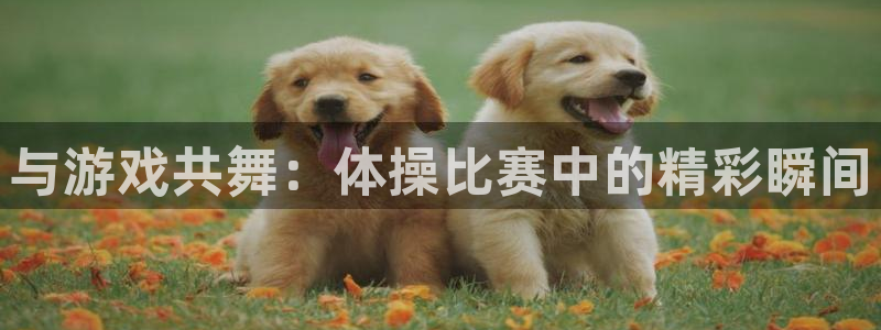 意昂5平台开户链接