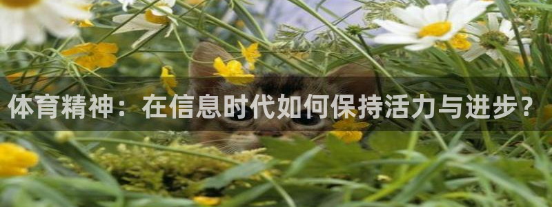 意昂53登录